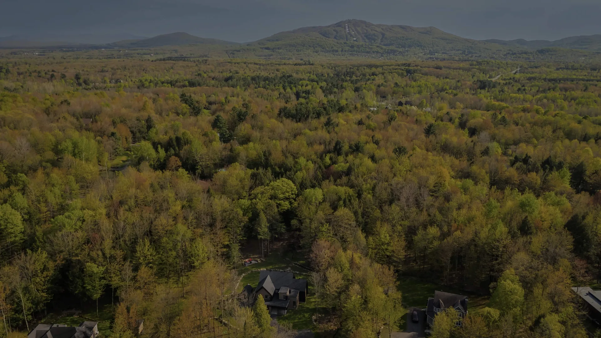 Paysage forestier avec maisons et montagnes en arrière-plan.